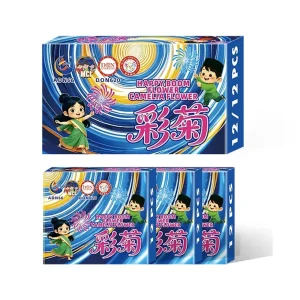 No107 – Camellia Flower | 彩菊