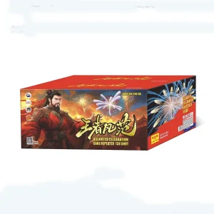 No206 – FD 1.5-138V WANG ZHE FENG FAN (11" 2.0) | FD 1.5-138V王者风范(11寸高2.0)