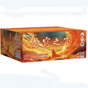 No240 – PD 9-138V CANG QIONG ZHI XIA | PD 9-138V 苍穹之下