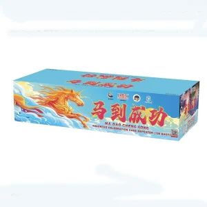 No257 – TP 7-138V MA DAO CHENG GONG | TP 7-138V 马到成功