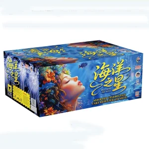 No262 – TP 9-138V HAI YANG ZHI XING | TP 9-138V 海洋之星